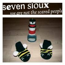 <p><strong>SEVEN SIOUX</strong><br />
CD: We are not the scared people<br />
Fettkakao Records, 2006</p>
